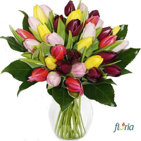 Paturi inovatoare: ‘Patul fără saltea – alegerea ideală pentru fiecare dormitor’ – Financiarul