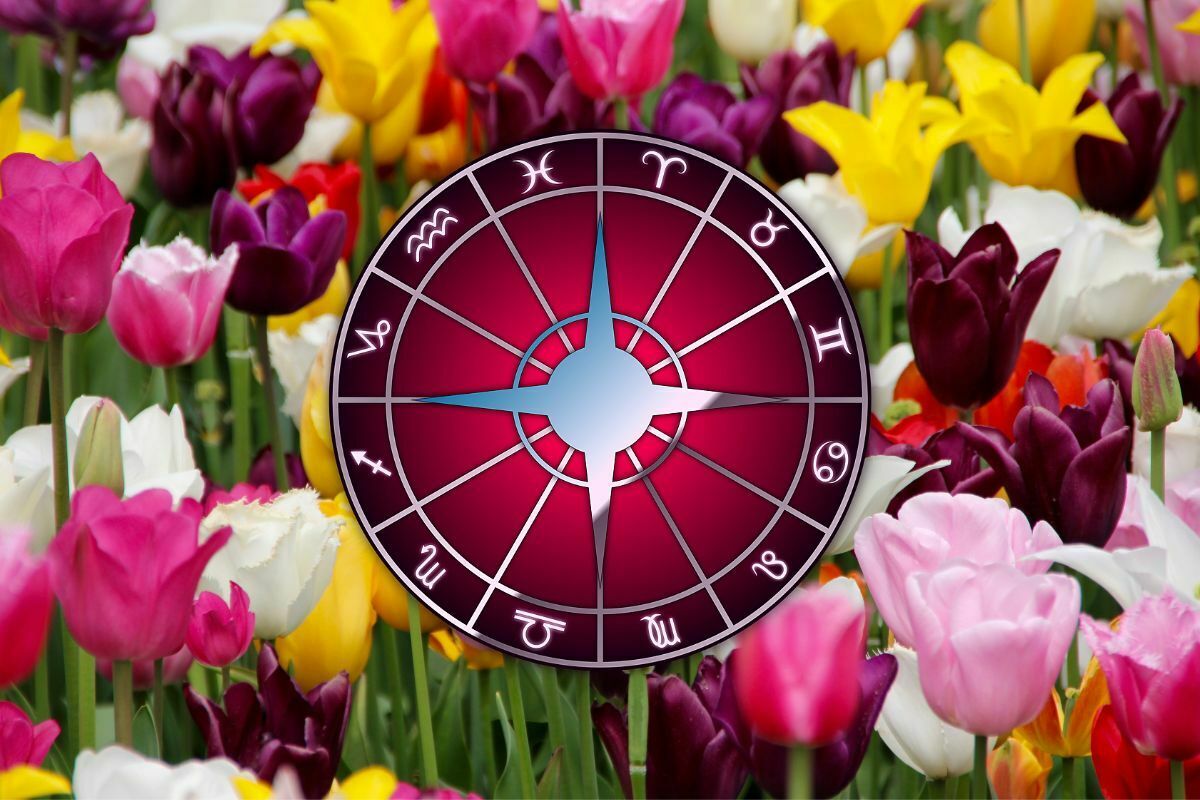 Horoscop de weekend 11-12 martie 2023. Berbecii au succes in negocieri, iar Racii au noroc in dragoste