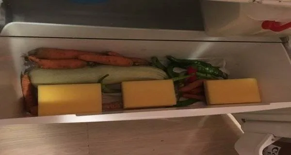 A pus trei bureti in lada congelatorului. Ce s-a intamplat dupa te va pune pe ganduri. UIMITOR