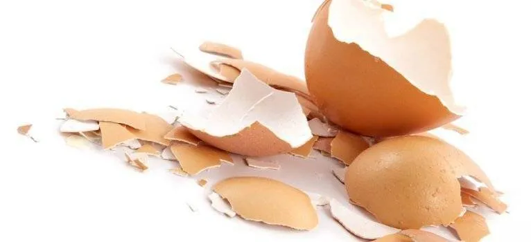 Beneficiile uimitoare ale COJILOR de oua! Fac minuni pentru sanatate