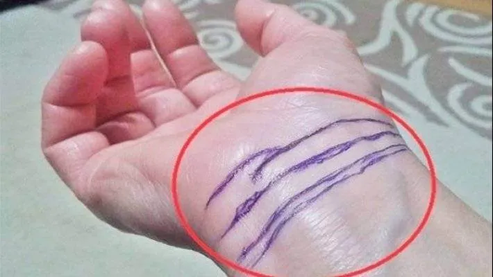 TEST: Analizează liniile încheieturii mâinii tale și vezi ce spun acestea!