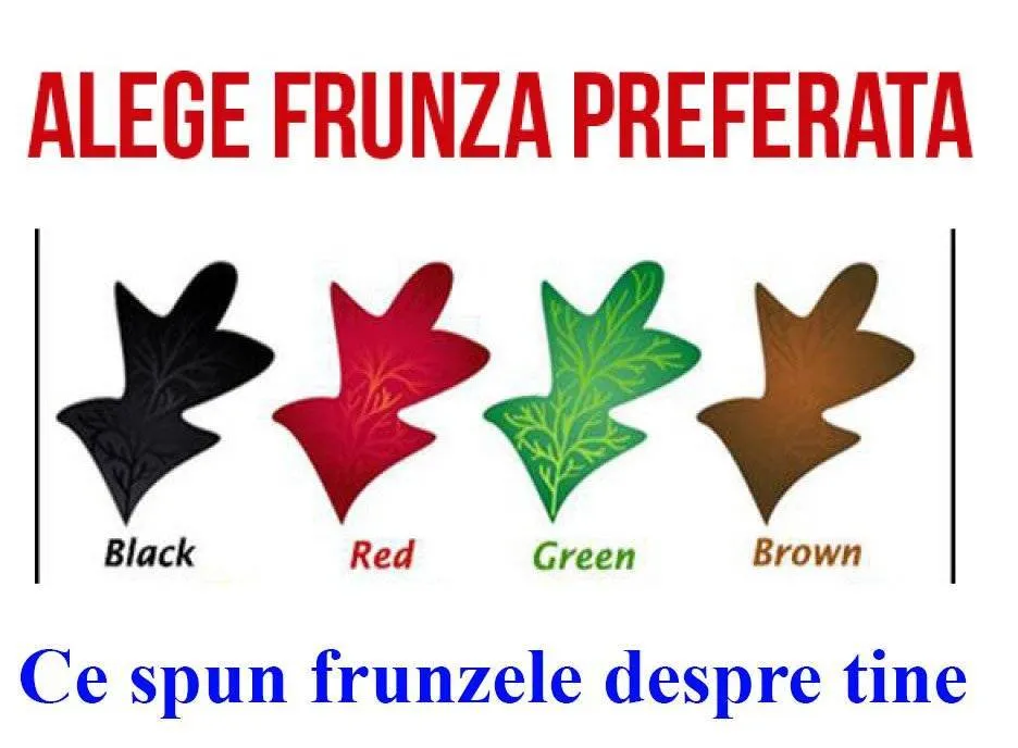 Ce spun frunzele despre tine. Alege și descoperă!