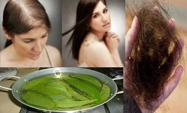 Cum poti opri CADEREA parului: Incearca aceasta metoda 100% eficienta