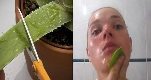 Cum poti folosi aloe vera pentru tenul tau. Este mai eficient decat credeai
