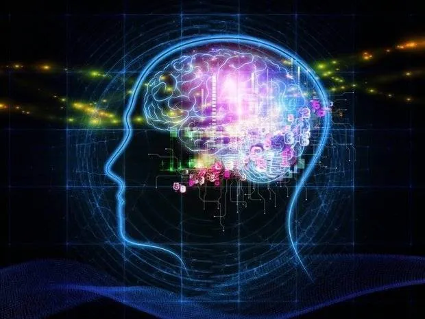 Mananca inteligent: 6 gustari care stimuleaza creierul