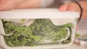 6967810-store-lettuce-container-paper-towels-1475129490-650-8b558b7fb2-1484824499