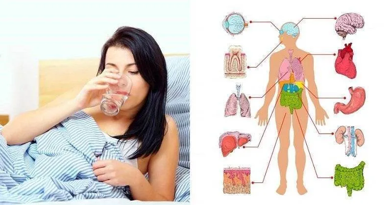Cura de sanatate! Bea apa dimineata pe stomacul gol si iti vei schimba viata