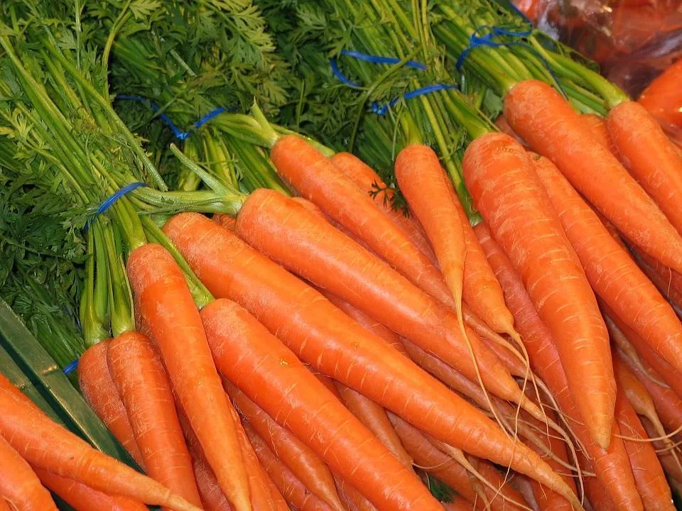Bautura minune care iti imbunatateste vederea si sanatatea pielii