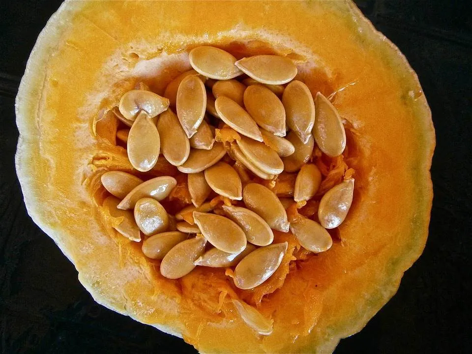 Astea sunt cele mai bogate alimente in proteine