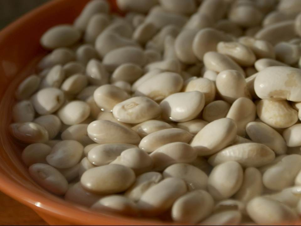 Beneficiile pentru sanatate ale boabelor de fasole