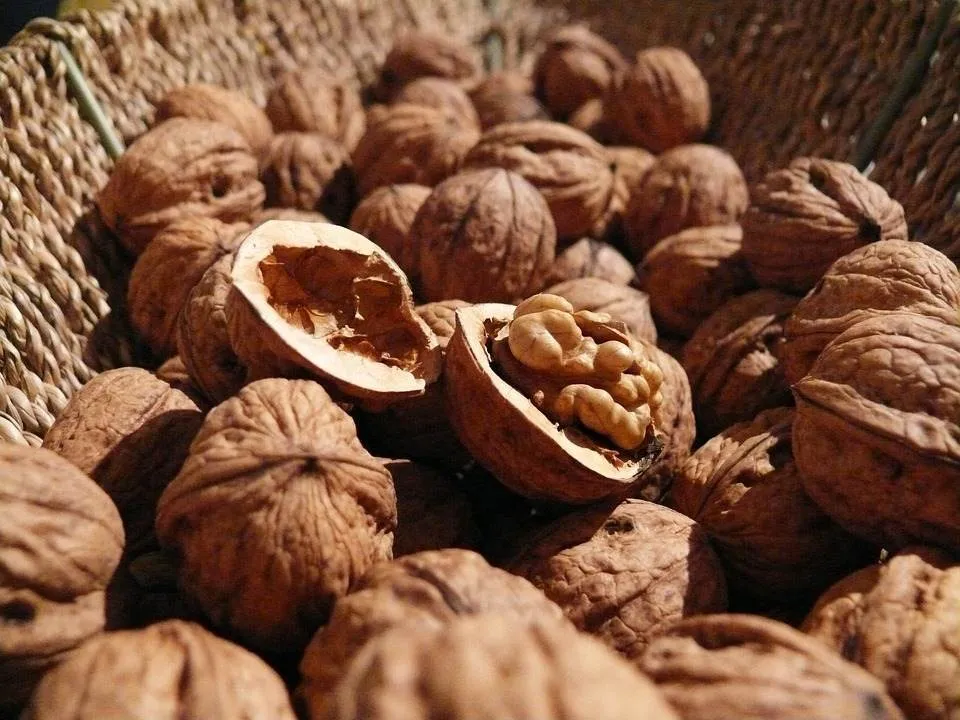 Nucile te scapa de moarte! Cum sa le consumi