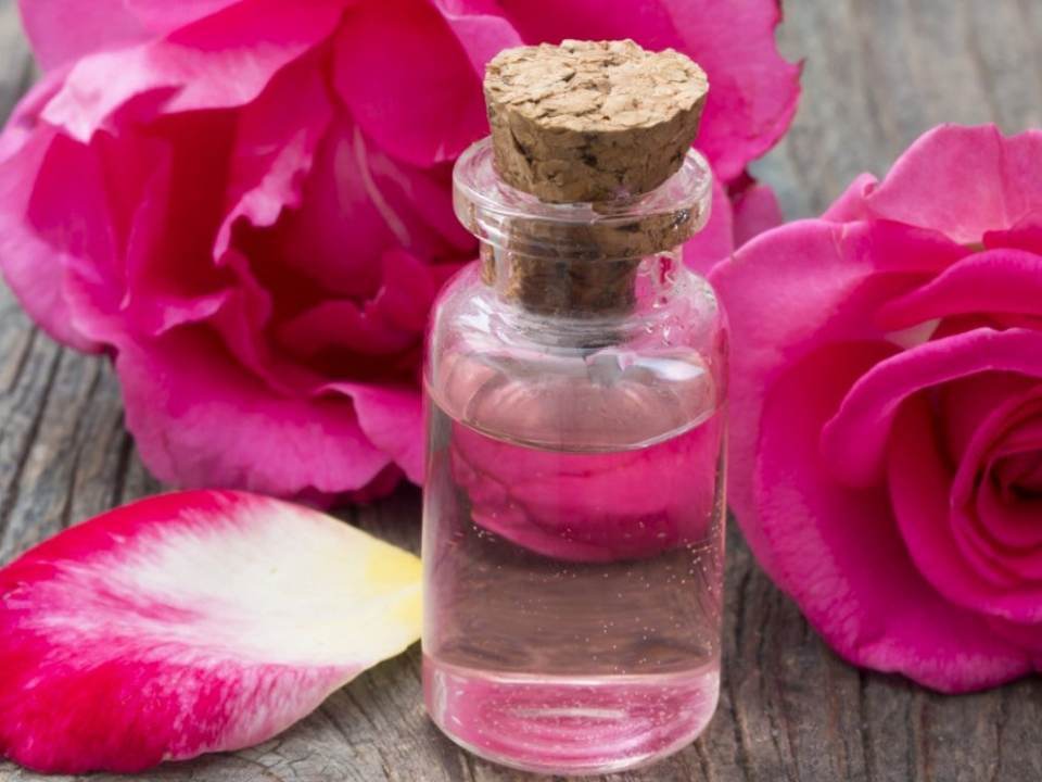 De ce este trandafirul un produs de infrumusetare minunat