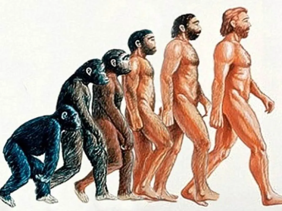 Dovezi care atesta faptul ca rasa umana este in continua evolutie