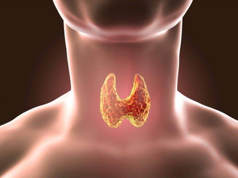 Tiroida se poate trata si in mod natural? Ce ne ascund medicii
