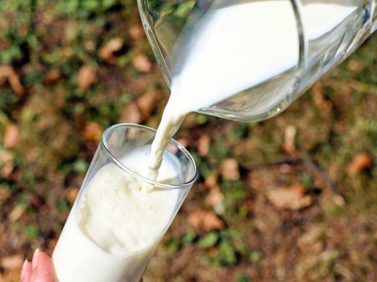 Consumul de lapte te face sa cresti in inaltime si dupa varsta de 20 de ani! Adevar sau minciuna?