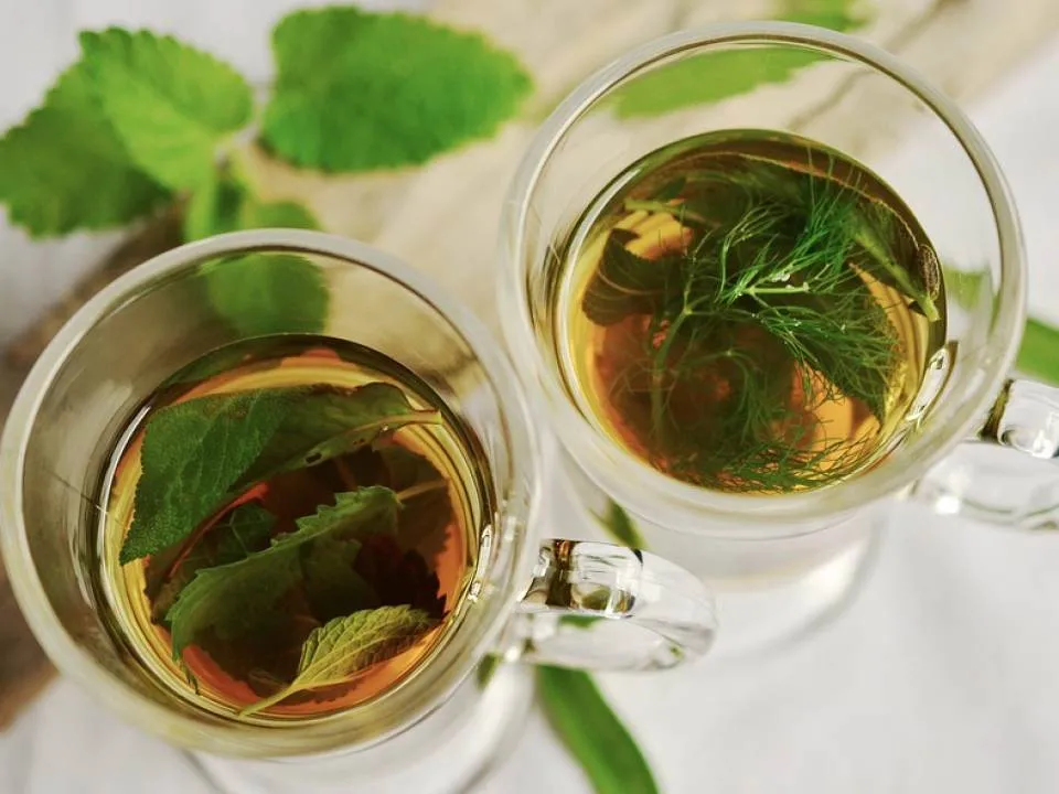 Ce se intampla in organismul tau daca vei consuma o cana cu ceai verde pe zi
