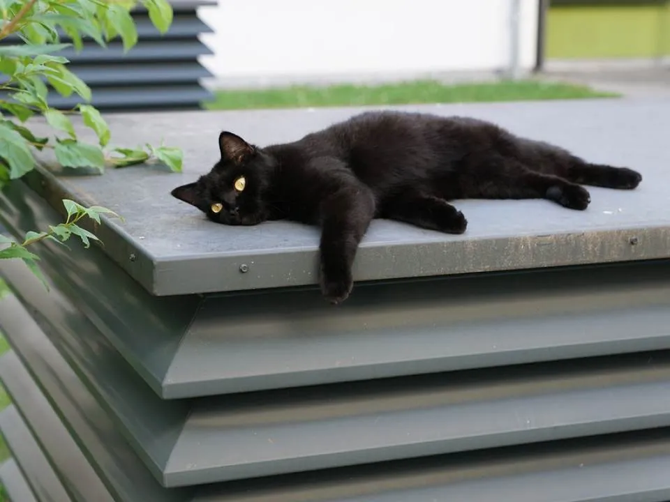 Superstitiile femeilor insarcinate. De ce se tem cel mai tare