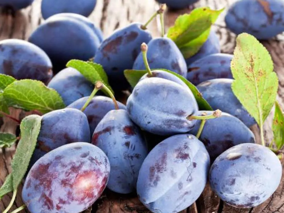Dieta cu prune, secretul unei siluete de invidiat! Slabeste trei kilograme, in doar opt zile