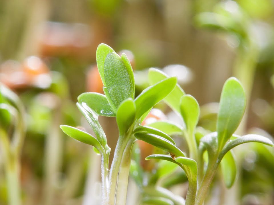 Regulile incredibile ale unui doctor celebru! Ce le recomanda pacientilor sai