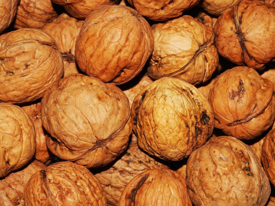 Cum sa scapi de kilogramele in plus! Dieta cu nuci, cea mai simpla metoda prin care poti sa scapi de grasimea inestetica
