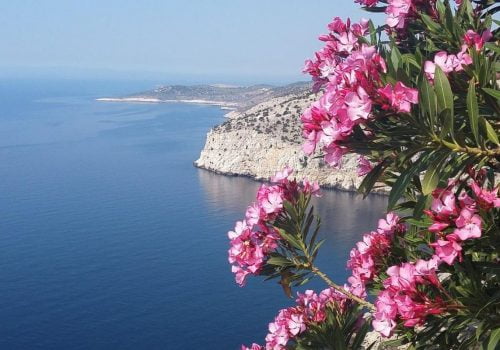Cea mai ieftina insula din Grecia. Destinatia de vacanta ideala, unde te poti distra cu bani putini