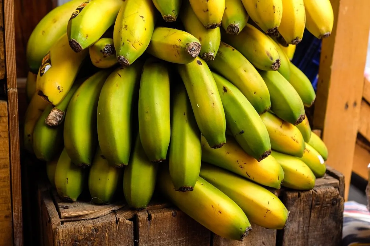 Ce se întâmplă dacă mănânci banane verzi. Surpriza la care nu te așteptai
