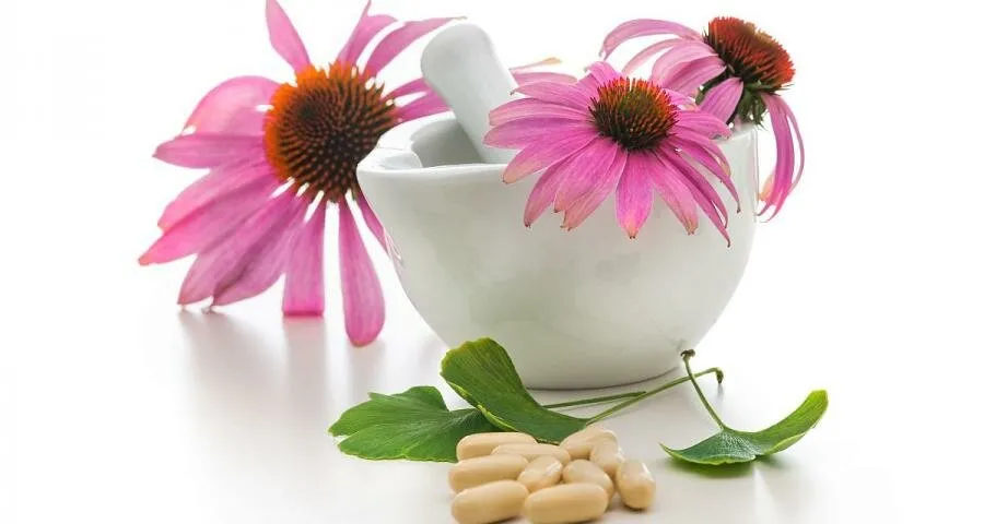 Sucul de Echinacea purpurea – cel mai eficient in prevenirea imbolnavirilor de sezon