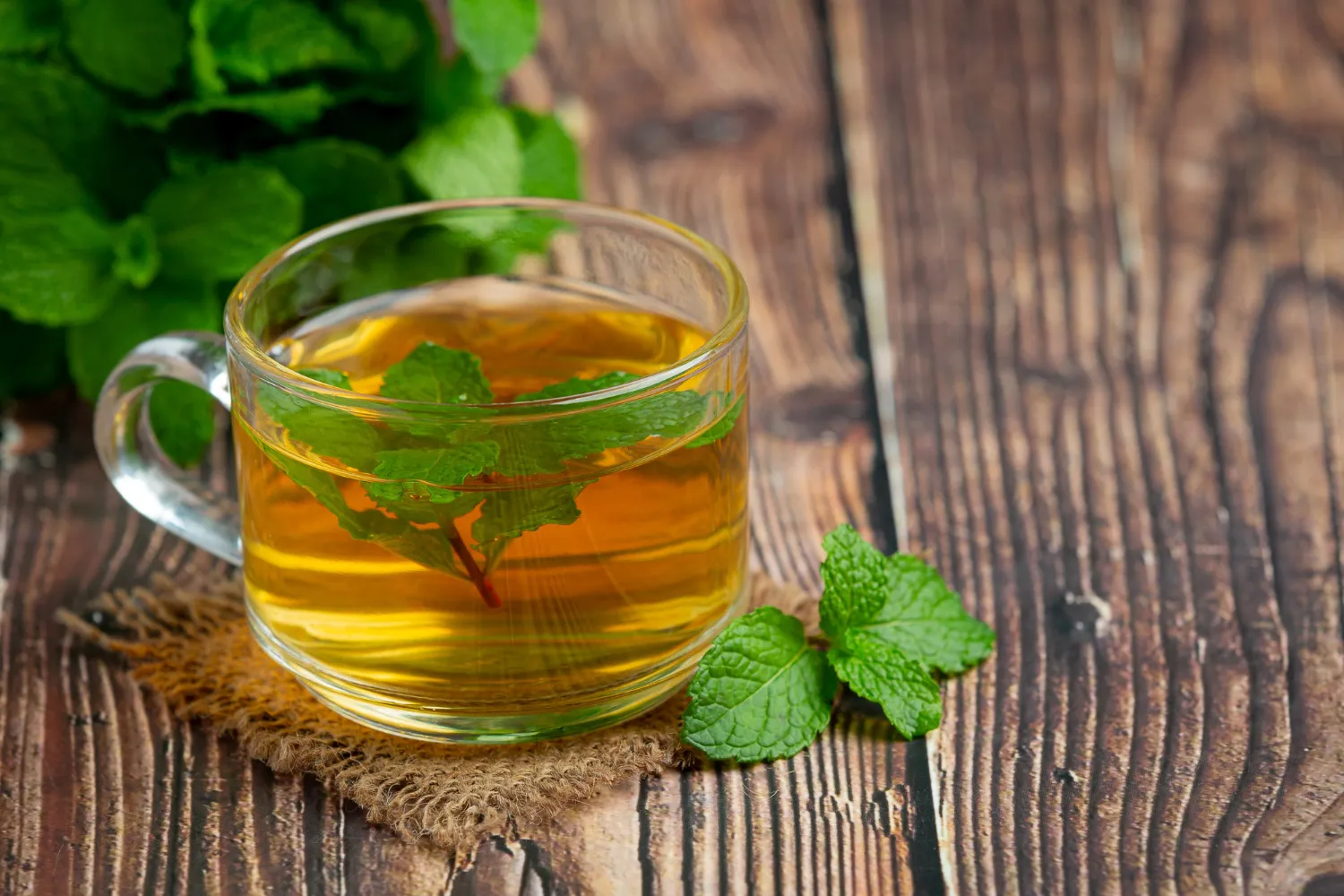 Cum să folosești ceaiul de mentă pentru a-ți transforma părul