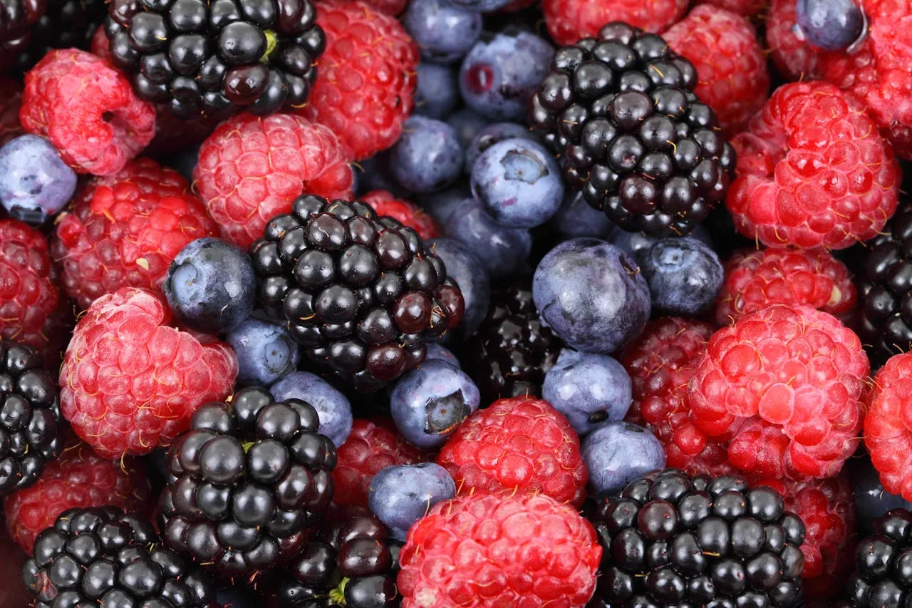 Fructe de pădure. Fructele cu puteri miraculoase