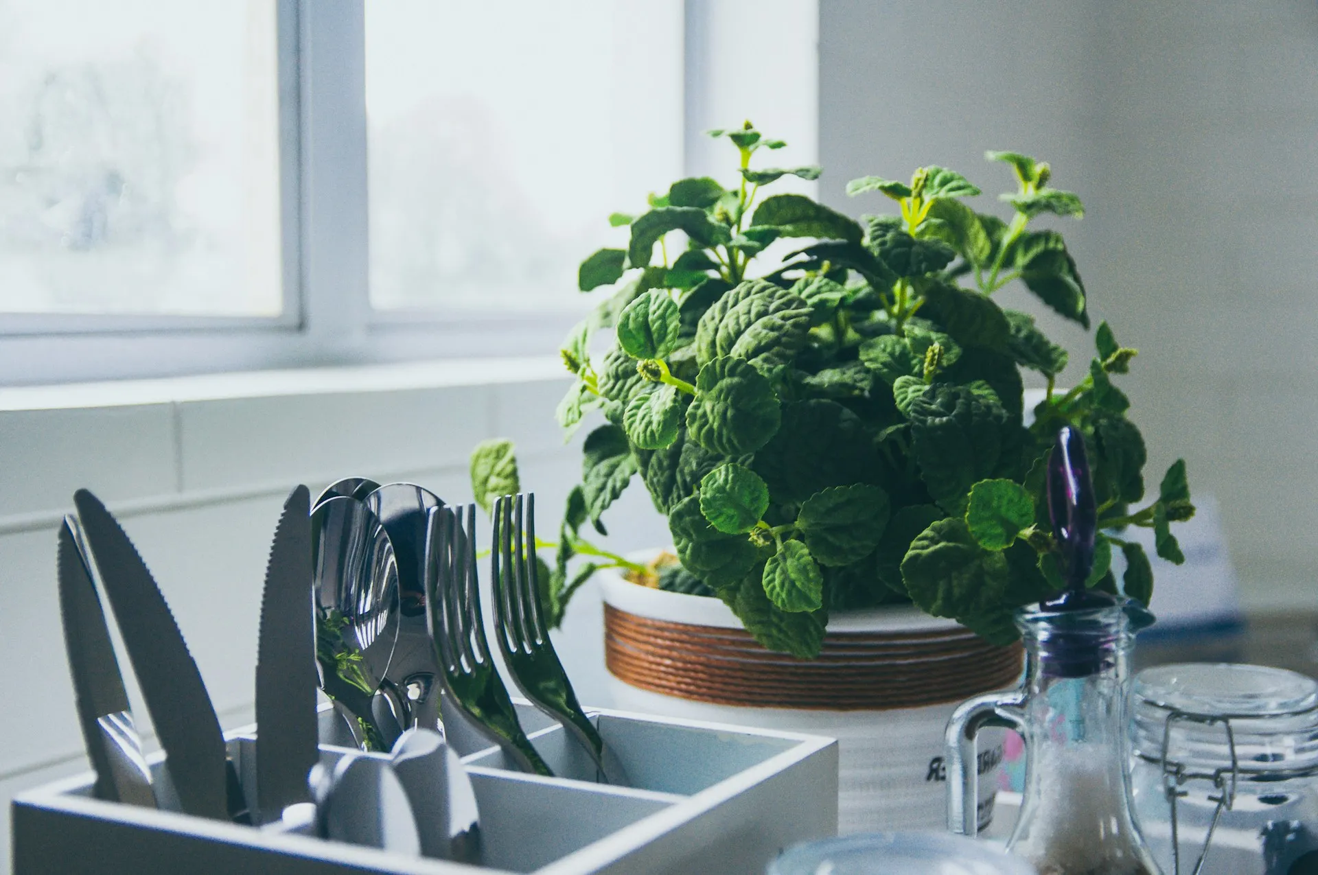 Probleme cu digestia? Jeleul de mentă le poate combate. Are şi proprietăţi antiinflamatoare
