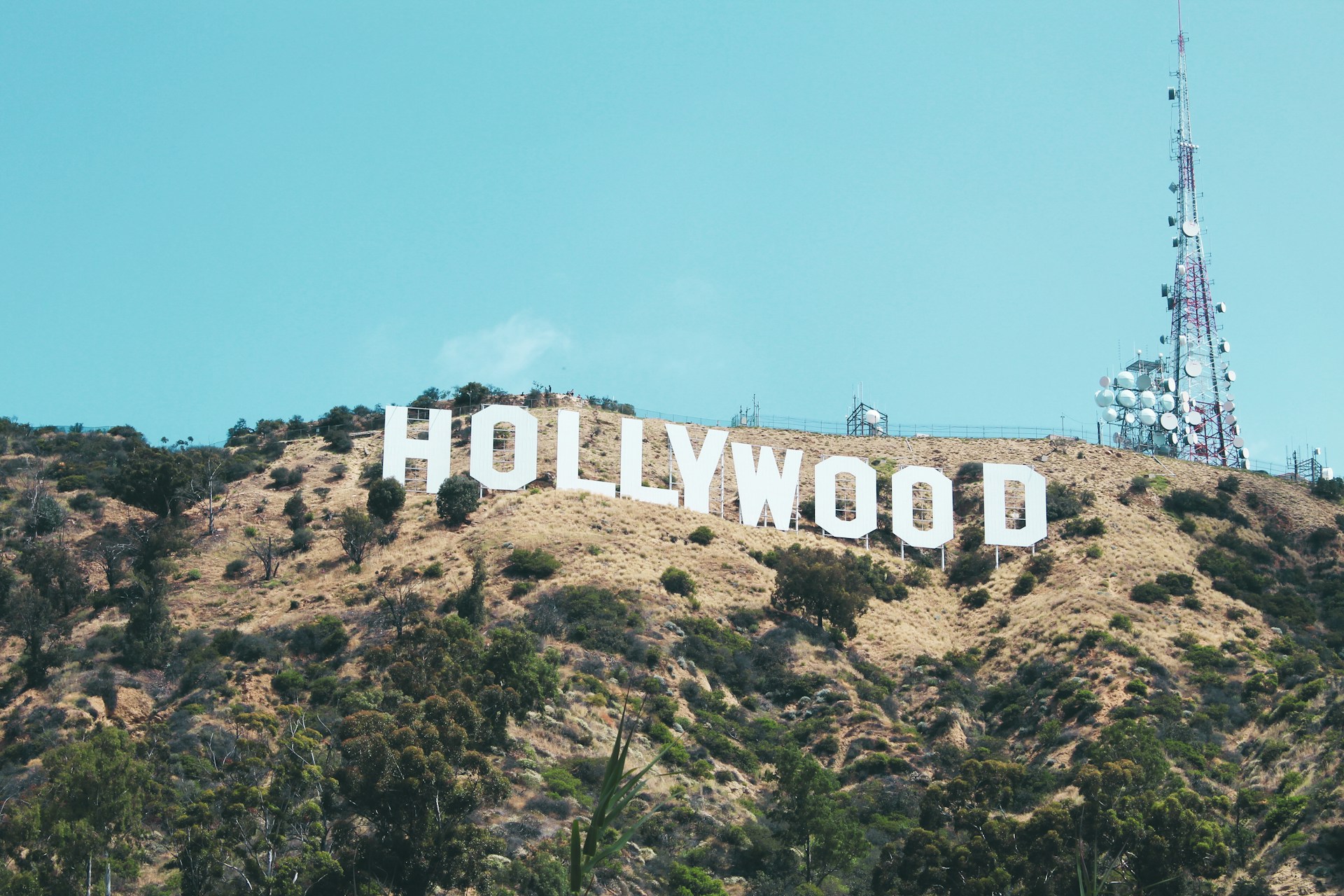 Cine este adevărata regină a averilor în Hollywood? Te va surprinde numele ei!