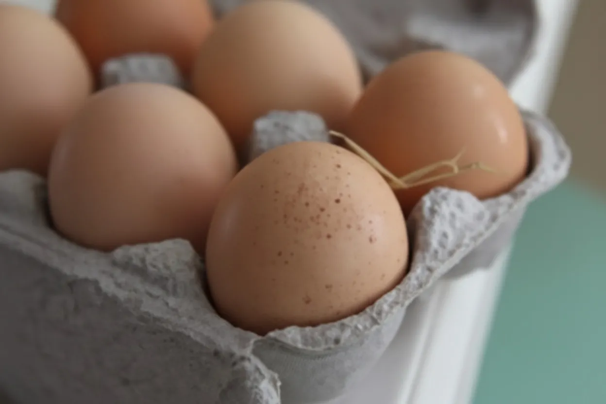 Pachete de mese livrate la domiciliu legate de focare de salmoneloză