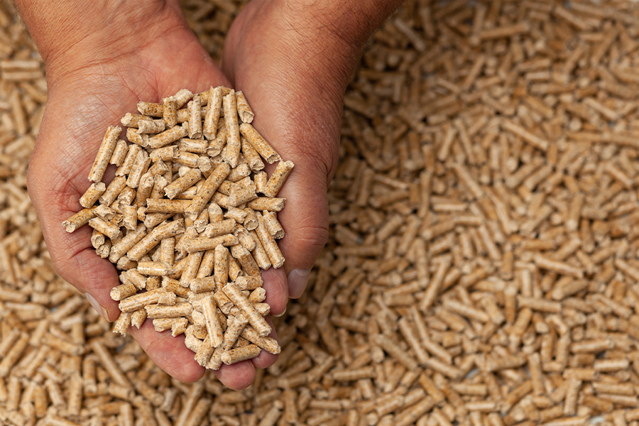 Cum să identifici peleții de calitate superioară