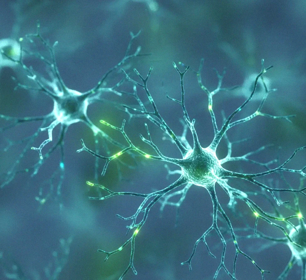 Descoperire neașteptată despre microglia și rolul ei ascuns în lupta cu Alzheimer