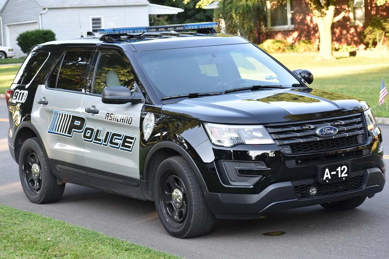 Sacramento: Și-a înjunghiat fiul, apoi a fost ucis de poliție