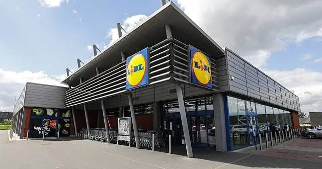 Alertă alimentară în Lidl: Stafide „Furnicuța” retrase de urgență
