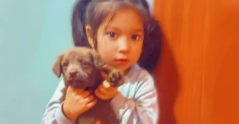 Alertă în Mureș 500 de oameni caută două fetițe dispărute de 4 și 5 ani