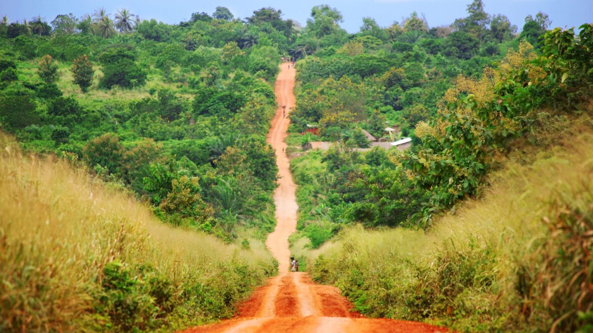 Sicriele-fantezie din Ghana costă 3.000 de lire și celebrează viața celui decedat