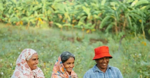 O cultura uitata schimba totul. Povestea fermierilor care renunta la chimicale si datorii
