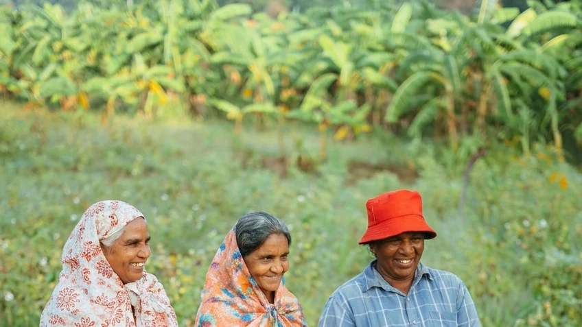 O cultura uitata schimba totul. Povestea fermierilor care renunta la chimicale si datorii