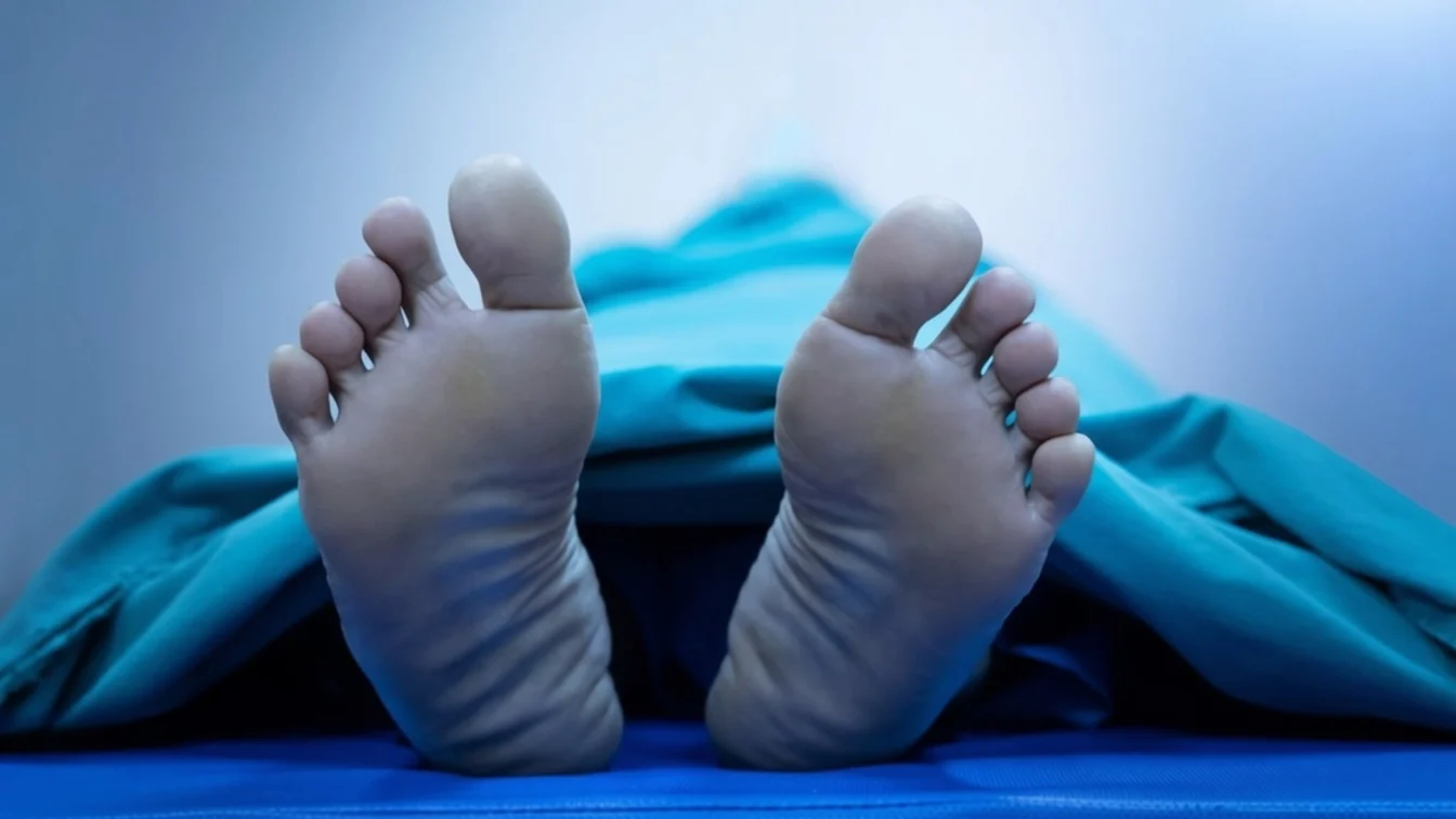 Fillerul de 100.000 de dolari din cadavre umane creează liste de așteptare