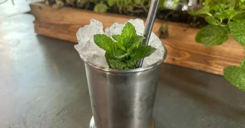 Greșeala pe care o fac toți cu menta. Secretul unui Mint Julep perfect acasă