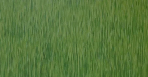 Ce se ascunde in spatele etichetei. Riscul care poate schimba moda pentru totdeauna