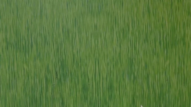 Ce se ascunde in spatele etichetei. Riscul care poate schimba moda pentru totdeauna