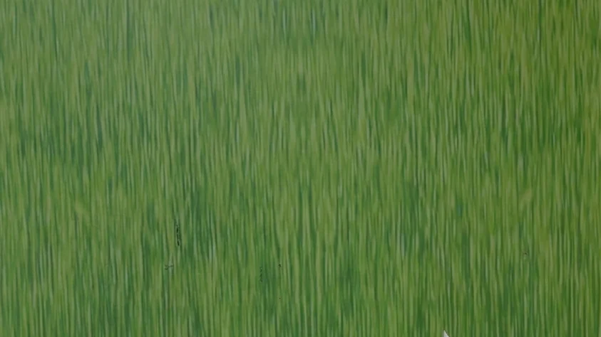 Ce se ascunde in spatele etichetei. Riscul care poate schimba moda pentru totdeauna