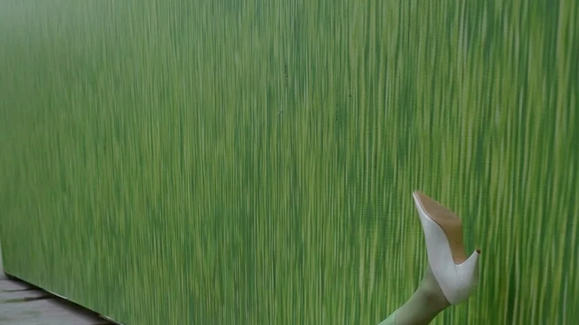 Image may contain Kim Sunghee Grass Plant Person Clothing Footwear High Heel Shoe Nature Outdoors Face and Head