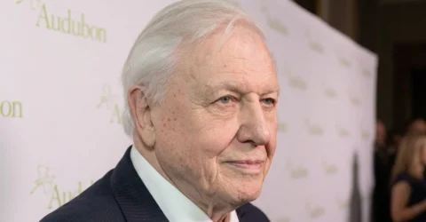 Vestea care schimba totul despre longevitate. La ce aliment a renunțat David Attenborough
