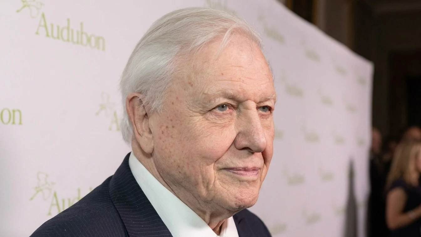 Vestea care schimba totul despre longevitate. La ce aliment a renunțat David Attenborough
