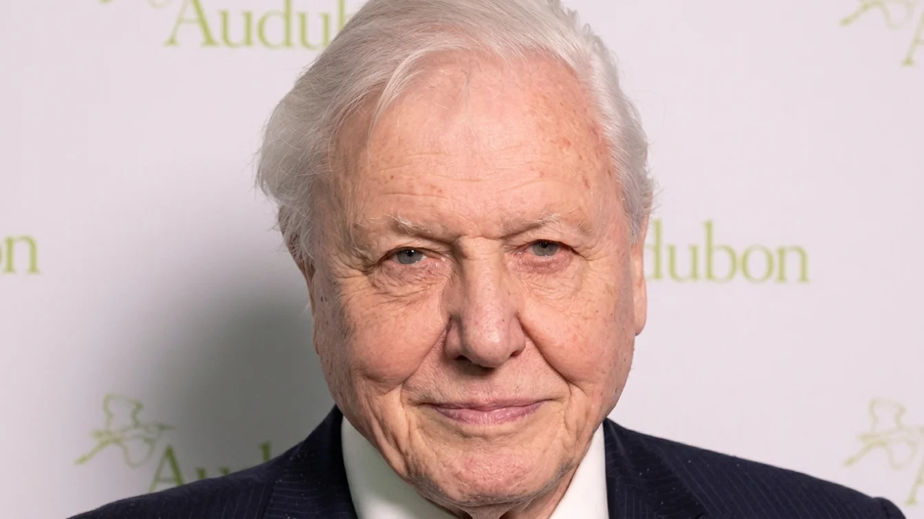 Alimentul la care David Attenborough a renunțat aproape complet pentru longevitate. Legenda BBC a împlinit 100 de ani
