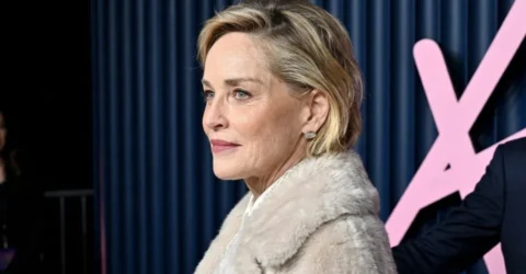 Imaginea care schimba totul. Cum a aparut Sharon Stone la 68 de ani